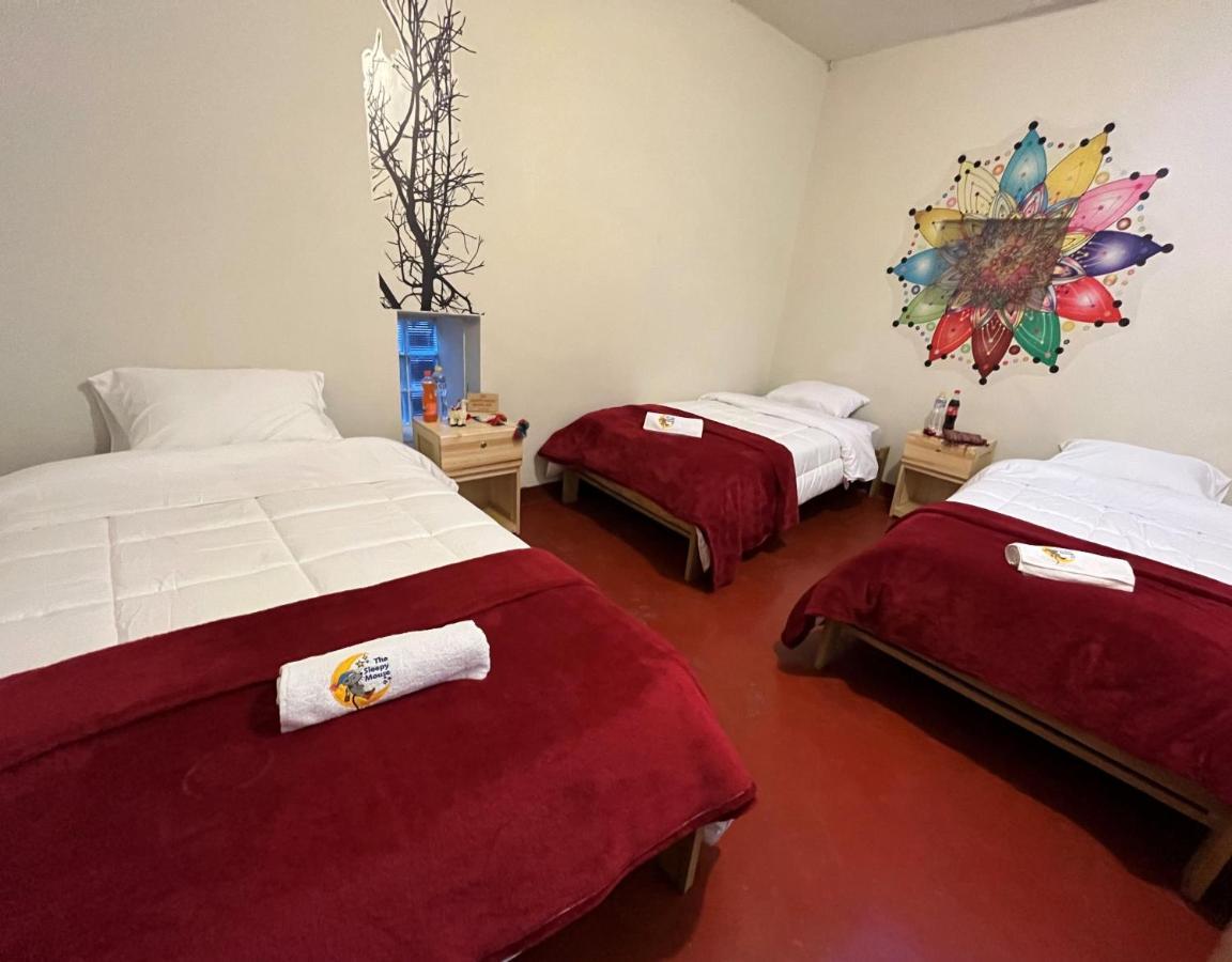 Hostel The Sleepy Mouse Cuzco Exteriér fotografie